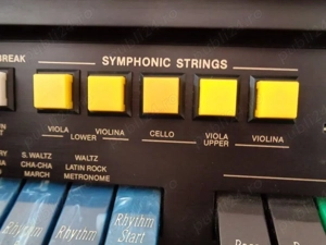 Orga Lowrey D-325 - imagine 2