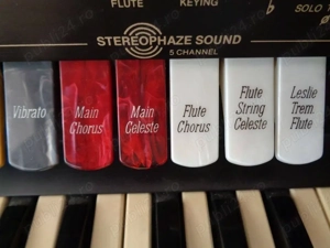 Orga Lowrey D-325 - imagine 4