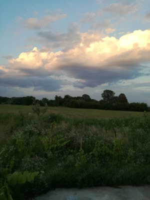 VAND 3  terenuri de cate 1000 mp, autorizatie urbanism, Sabolcku, Bihor