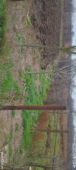 teren intravilan de vânzare  - imagine 3