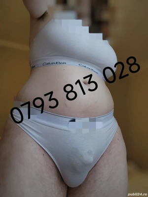 Companie de calitate 