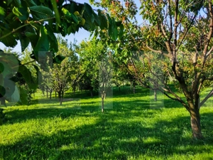 Casa individuala in apropiere de Cluj-Napoca si un teren generos de 2382mp - imagine 2