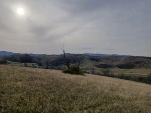 De vanzare,Tomnatic Bihor