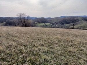 De vanzare,Tomnatic Bihor - imagine 6