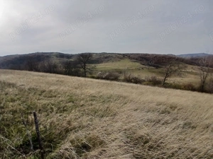 De vanzare,Tomnatic Bihor - imagine 4