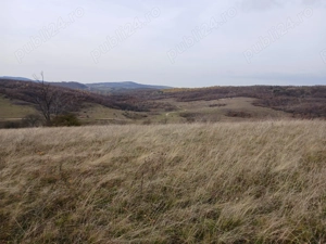 De vanzare,Tomnatic Bihor - imagine 5