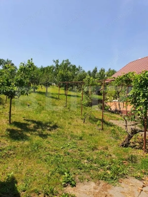 Proprietate traditionala cu 2040 mp teren - imagine 8