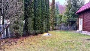 VAND CASA DE VACANTA LA COLIBITA, CU VEDERE SPRE LAC - imagine 6