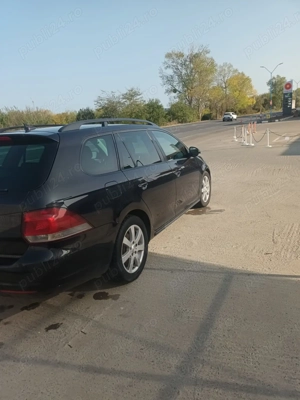 Doresc part time cat BCD