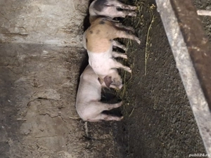 Gata de plecare pentru mai multe detli sunați la nr de telefon  