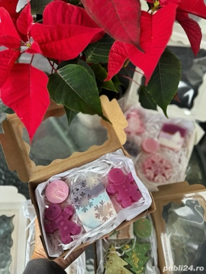 cutii cadou de Craciun cu sapunuri artizanale