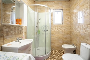 Casa noua de vanzare plan Parter Livada de Bihor - imagine 5