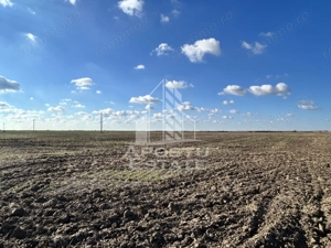 Teren 98.503 mp, intravilan, ideal parc fotovoltaic, Peciu Nou.