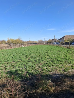 Vand casa in localitatea CIACOVA jud Timis - imagine 6