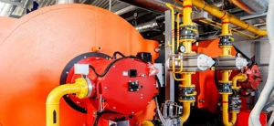 Fochist la fabrica de procesare carne de pasăre