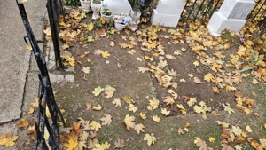 loc de veci cimitir ghencea  4.2 mp  - imagine 4