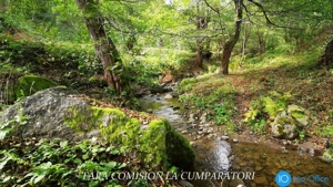 CABANA DE LA MUNTE, UN LOC FERMECATOR - imagine 19