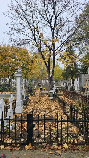 loc de veci cimitir ghencea  4.2 mp  - imagine 6