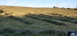 Inchiriez teren 4 ha pentru parc fotovoltaic in Resita