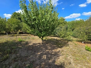 Casă de vânzare   Frumușani, jud. Călărași, aproape de București - imagine 4