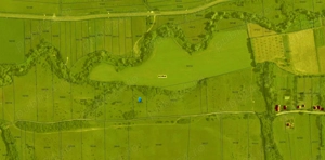 Teren extravilan superb în satul Ciumăfaia, comuna Borșa, Cluj. - imagine 6