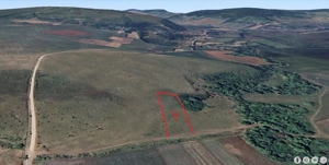 Teren extravilan ideal în comuna Borșa-Cluj. - imagine 5