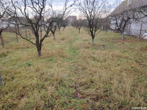 Teren intravilan de vânzare - 8 Ari