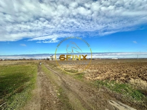 LOT de casa Tartasesti Primarie, teren cu potential