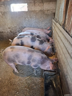 Pentru masa de Crăciun.  - imagine 2