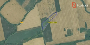 Teren agricol extravilan de vanzare, 2,69 hectare - Jebel Timis - imagine 3