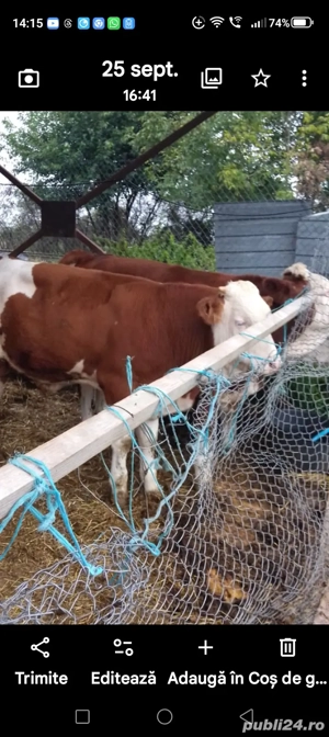 vind viteiii in toboliu nr450 mai multe detali la tel  