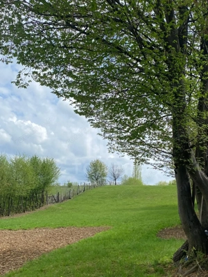 Teren intravilan 1200 mp – utilități la poartă, zonă exclusivistă Sibiel - imagine 4