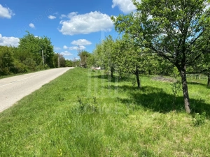 Teren premium 1000 mp-Sibiel - imagine 6