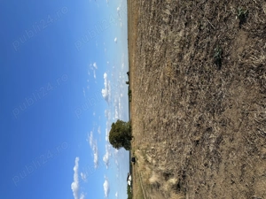 Teren intravilan Ilfov - imagine 2