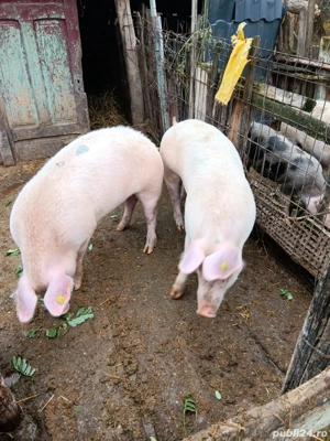 De vânzare mai multe detalii la nr de telefon 