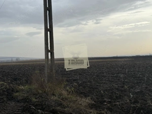 Teren extravilan in EXCLUSIVITATE 20300 mp in Sura Mica - imagine 3