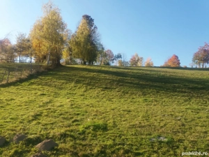 Teren intravilan. Bran, Sohodol. 3056mp