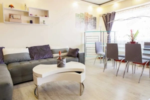 Apartament 3 camere Brotăcei