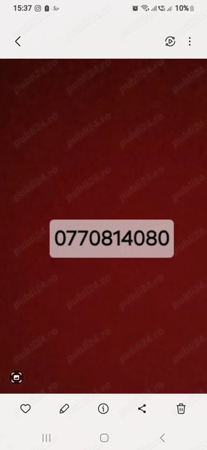 Vând porci pt sacrificat