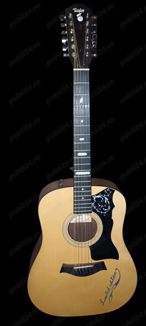 Taylor 12 corzi electro-acustica