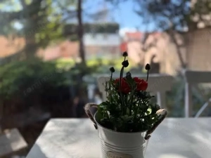 Casa individuala, 4 camere de vânzare în Braytim   una dintre cele mai bune locații din Timișoara - imagine 4