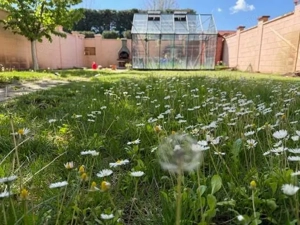 Casa individuala, 4 camere de vânzare în Braytim   una dintre cele mai bune locații din Timișoara - imagine 6