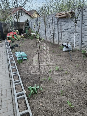 Triplex cu 3 camere, 2 bai, regim de inaltime P+1, Sanandrei - imagine 12