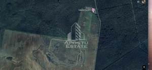 Teren 27000 mp, ideal centru seniori,liziera padurii, Cheveresul Mare.