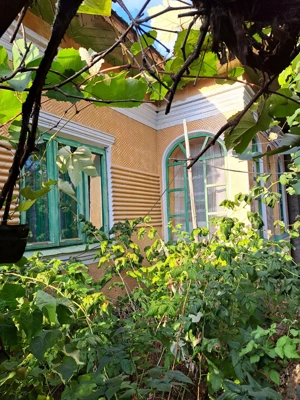 Vand casa cu 2500 mp teren curte