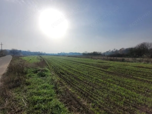 Vânzare teren intravilan - 2518 mp - strada Amurgului - Ursați - imagine 6