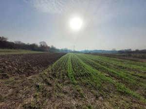 Vânzare teren intravilan - 2518 mp - strada Amurgului - Ursați - imagine 4