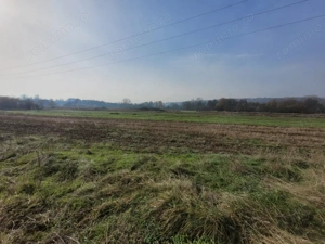 Vânzare teren intravilan - 2518 mp - strada Amurgului - Ursați - imagine 5