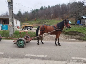 Vand cal bun de munca