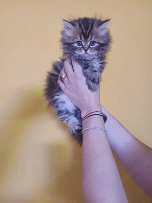 In căutare de casa noua - imagine 5